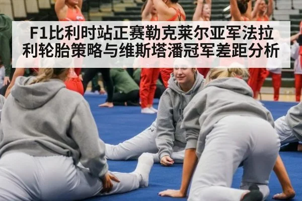 F1比利时站正赛勒克莱尔亚军法拉利轮胎策略与维斯塔潘冠军差距分析