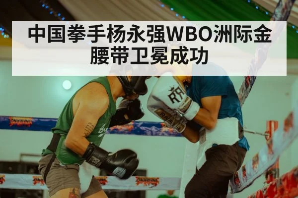 中国拳手杨永强WBO洲际金腰带卫冕成功